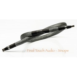 FINAL TOUCH USB cable Sinope - Demo model