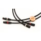 NIMED - Cable RCA / RCA