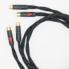 Link Protect A 2x 2 Rca male/2 Rca male 